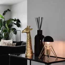 Hot Straluma Calex LED G125 kopspiegel zwart dimbaar