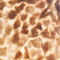 Best Sale Straluma Driepoot schelpen vloerlamp zwart met bruin en goud