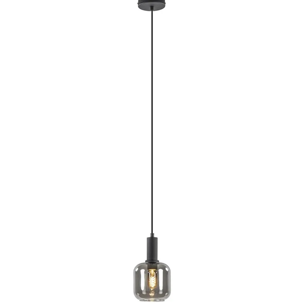 Discount Straluma Light and Living hanglamp Lekar zwart met smoke glas klein