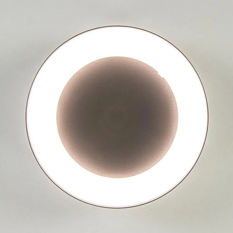 Clearance Straluma Moderne LED buitenlamp plafond/wand antraciet