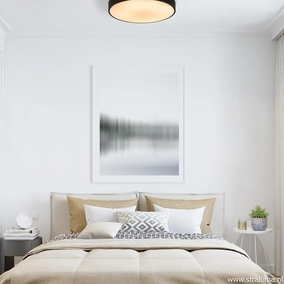 Clearance Straluma Ronde plafondlamp zwart inclusief LED en remote