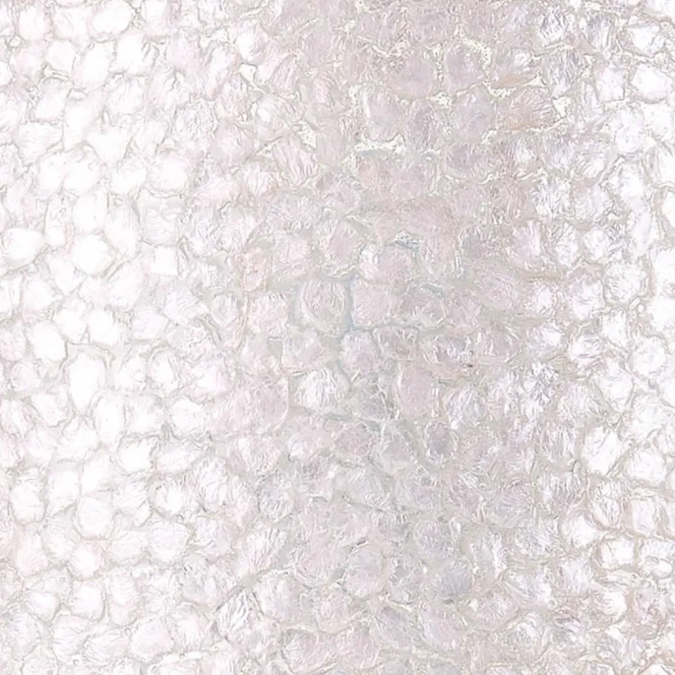 Shop Straluma Schelpen hanglamp bol 40 cm wit/parelmoer