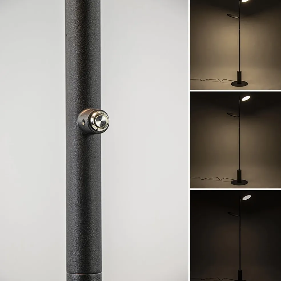 Shop Straluma Vloerlamp 2-lichts zwart inclusief 3-standen dimbaar LED
