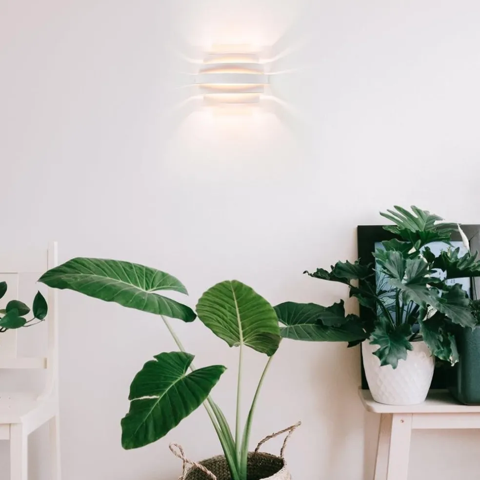 Store Straluma Wandlamp Scudo klein wit/goud